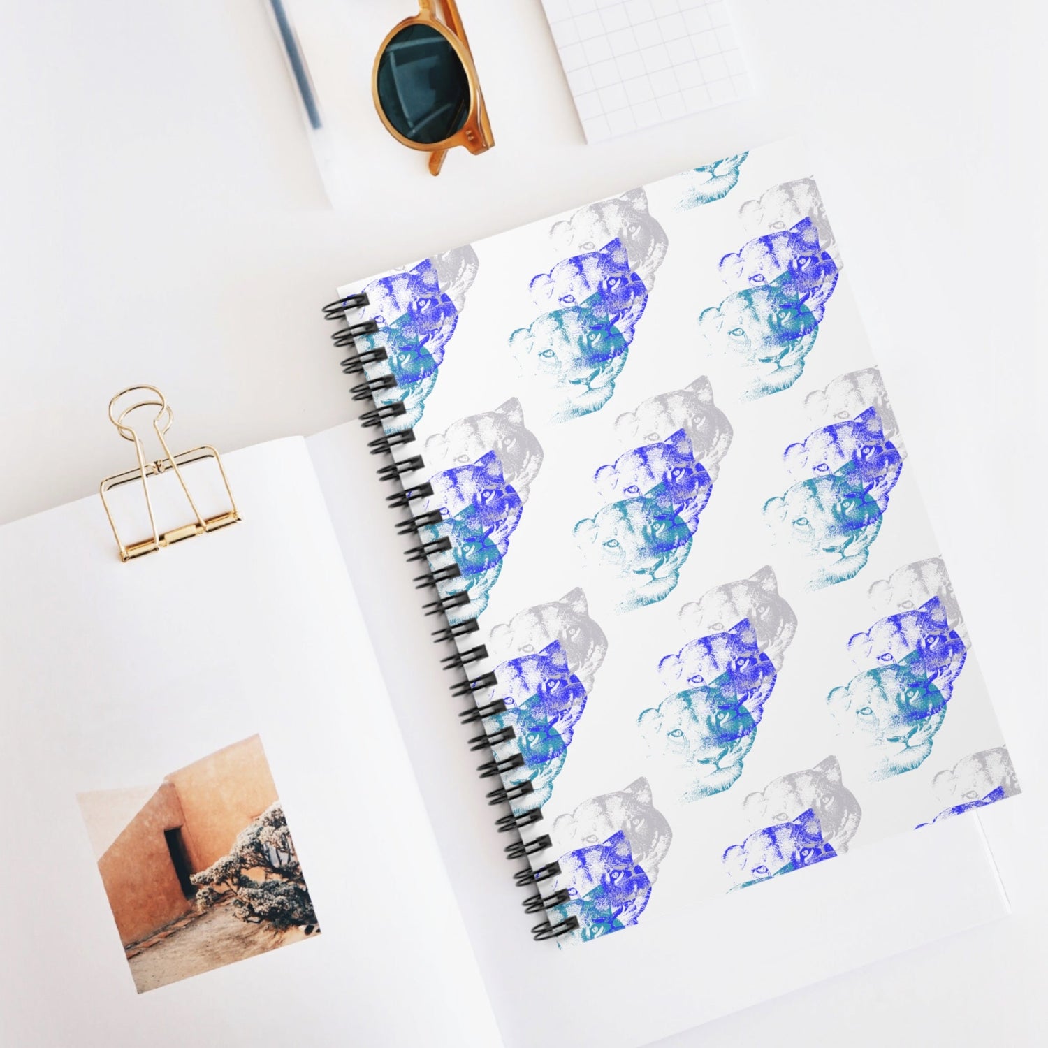 Notebooks and Journals
