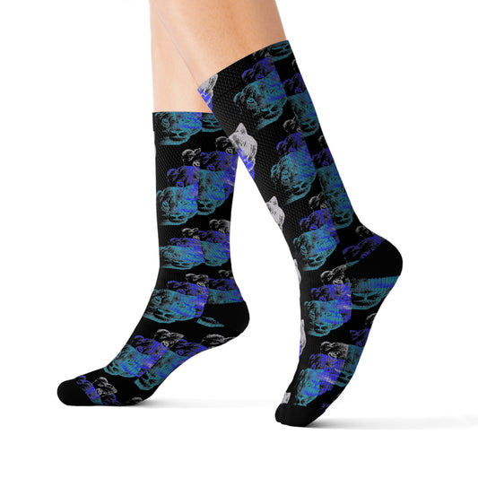 Lioness Arising - Socks (ptrn black)